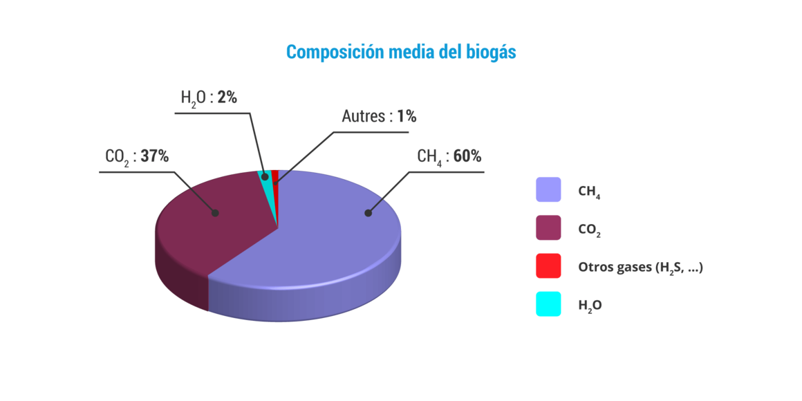 Composición media del biogás