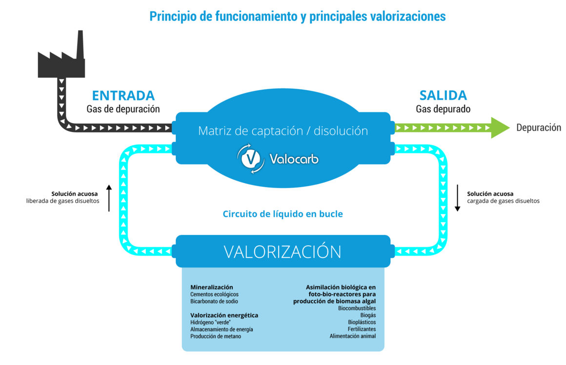 Principio de funcionamiento y principales valorizaciones